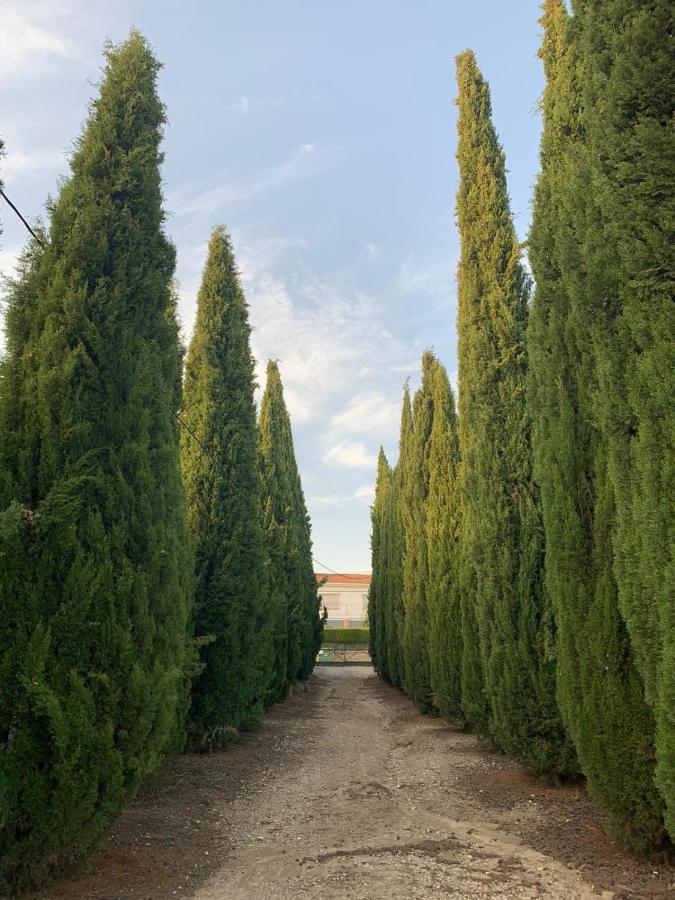 Caseria San Jose Baeza Dış mekan fotoğraf