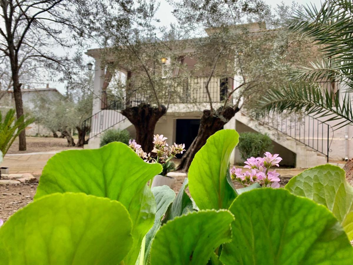 Caseria San Jose Baeza Dış mekan fotoğraf