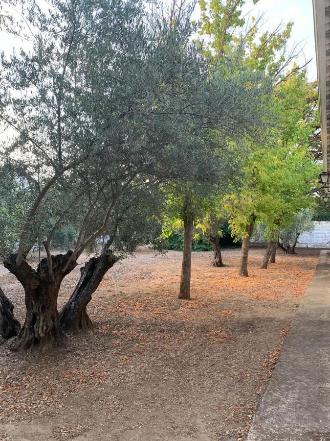 Caseria San Jose Baeza Dış mekan fotoğraf